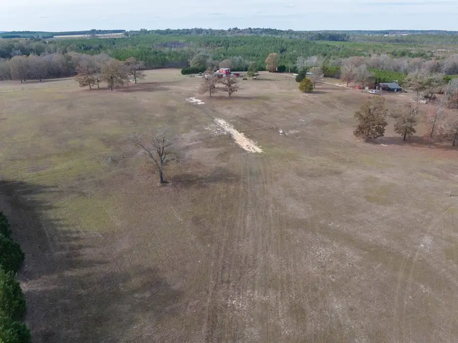 297 Ga Highway 0240, Buena Vista, GA 31803 - Image #3