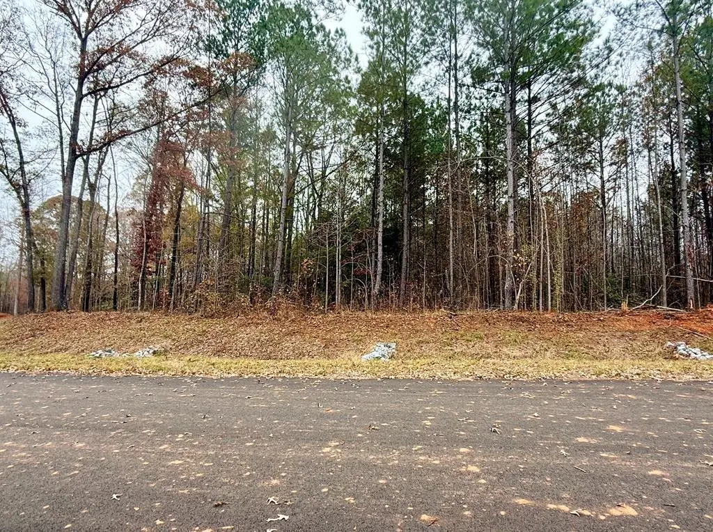 Lot 20 Rolling Meadows Way, Waverly Hall, GA 31831 - #1