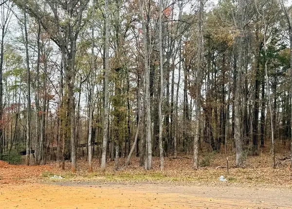 Lot 22 Rolling Meadows Way, WAVERLY HALL, GA 31831