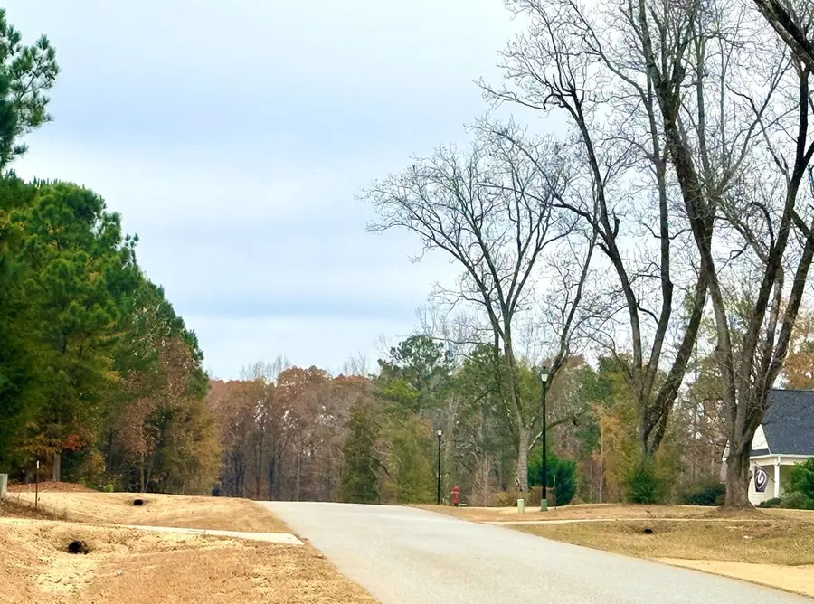 Lot 26 Rolling Meadows Way, Waverly Hall, GA 31831 - Image #3