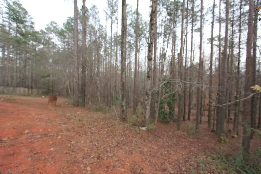 409 Reids Mill Way, Carrollton, GA 30116 - #3