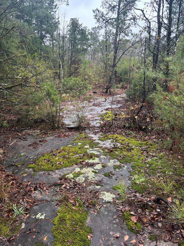 1206 Rock Bridge Drive, COLUMBUS, GA 31904