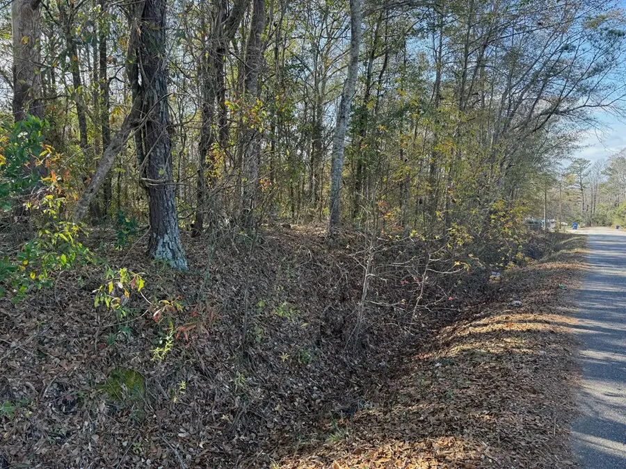 0 Lee Road 0210, Smiths Station, AL 36870 - Image #2