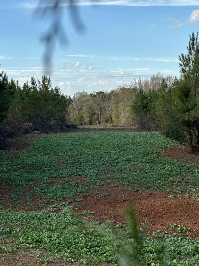 1979 Bethel Church Road, Luthersville, GA 30251 - Image #2