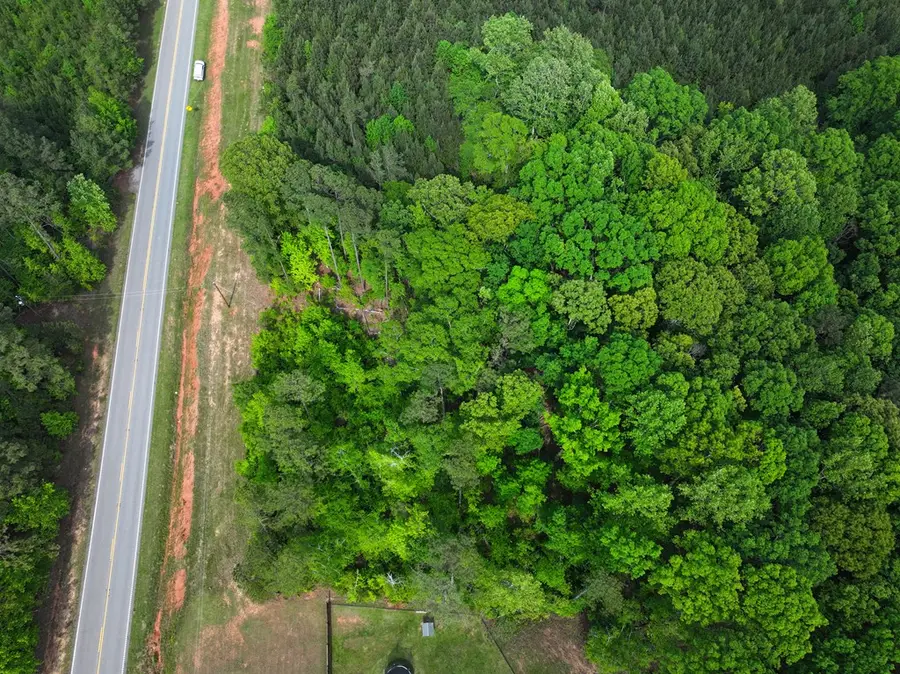 0 Ga Highway 0315, Waverly Hall, GA 31831 - Image #2