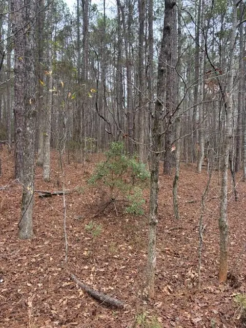 0 Red Bud Court, Waverly Hall, GA 31831 - Image #2