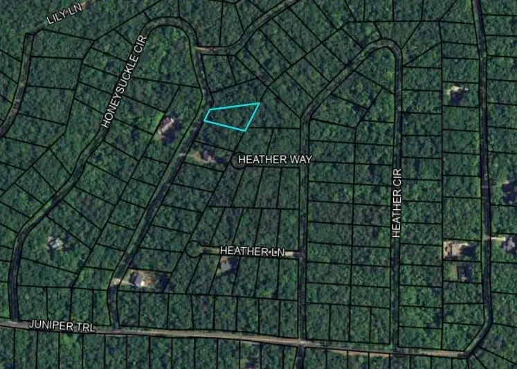 BLK 33 LOT 06 Juniper Way, Waverly Hall, GA 31831 - Image #3