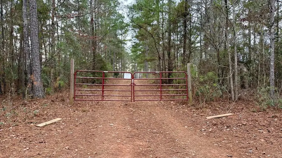 0 S Porter Road, Shiloh, GA 31826 - Image #2
