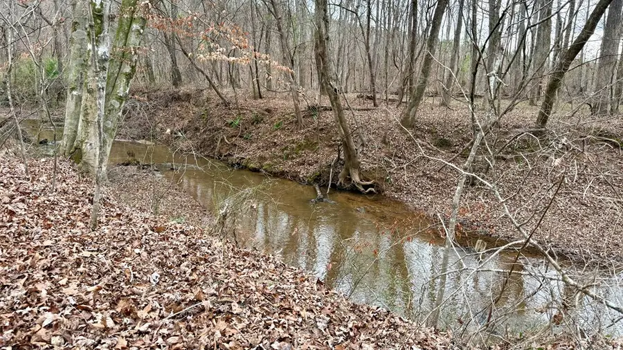 0 S Porter Road, Shiloh, GA 31826 - Image #3