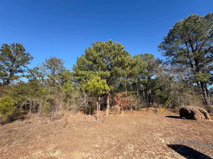 000 Bridle Path Lane, Box Springs, GA 31801 - Image #3