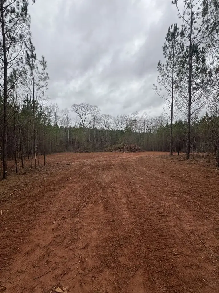 1455 Bethel Church Road, Luthersville, GA 30251 - Image #3