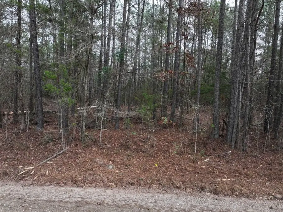 Lot 1 Silva Drive, Hamilton, GA 31811 - Image #2