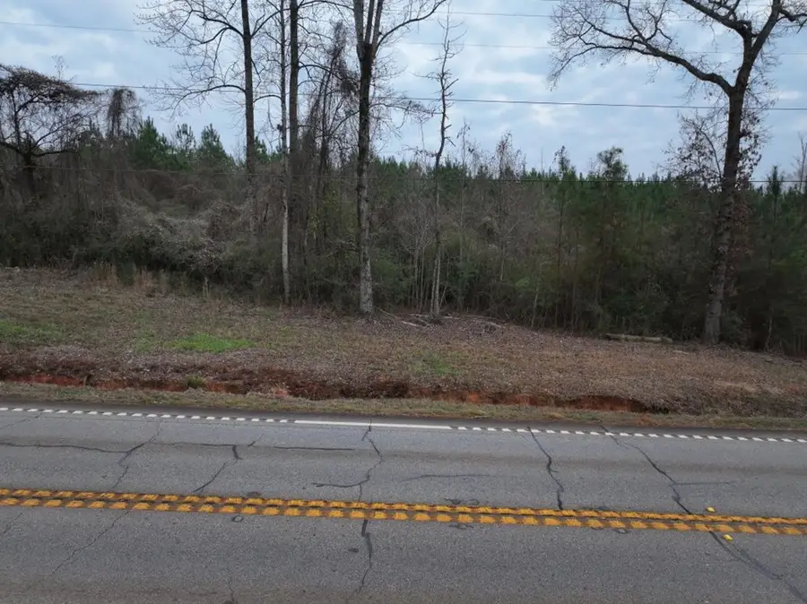 Parcel C3-300 Us Highway 0027, Hamilton, GA 31811 - Image #3