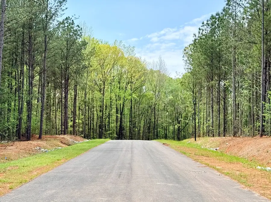 162 Rolling Meadows Way, Waverly Hall, GA 31831 - #3