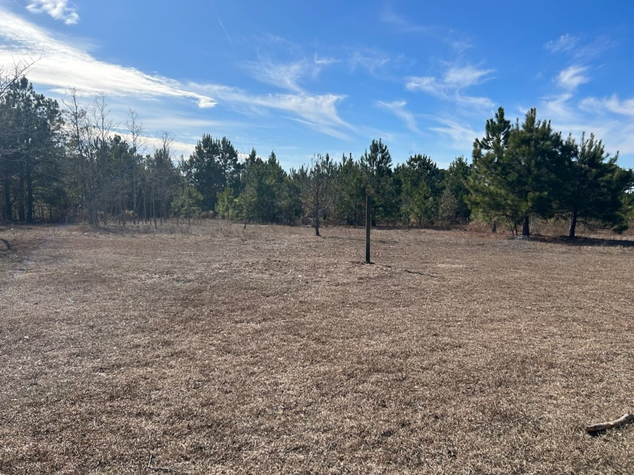 656 Bridle Path Lane, Box Springs, GA 31801 - Image #3