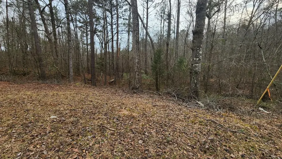 0 Monument Road, West Point, GA 31833 - #3