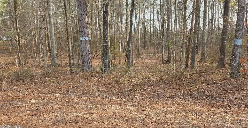 0 Lee Road 0143, Salem, AL 36874 - #1