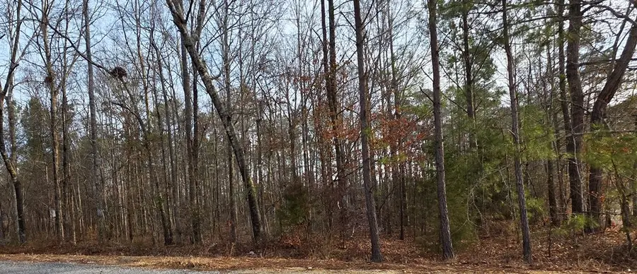 0 Lee Road 0143, Salem, AL 36874 - #2