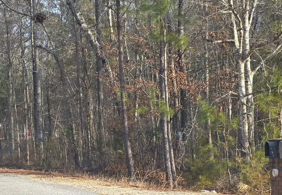 0 Lee Road 0143, Salem, AL 36874 - #3