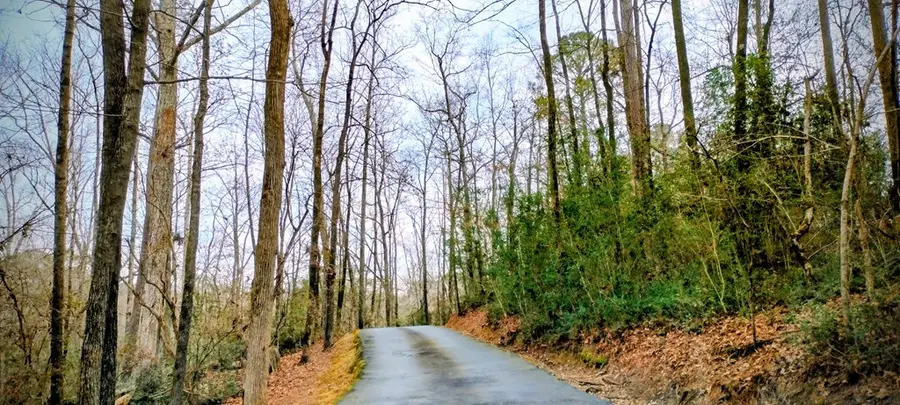 1133 N Standing Boy Court, Columbus, GA 31904 - #3