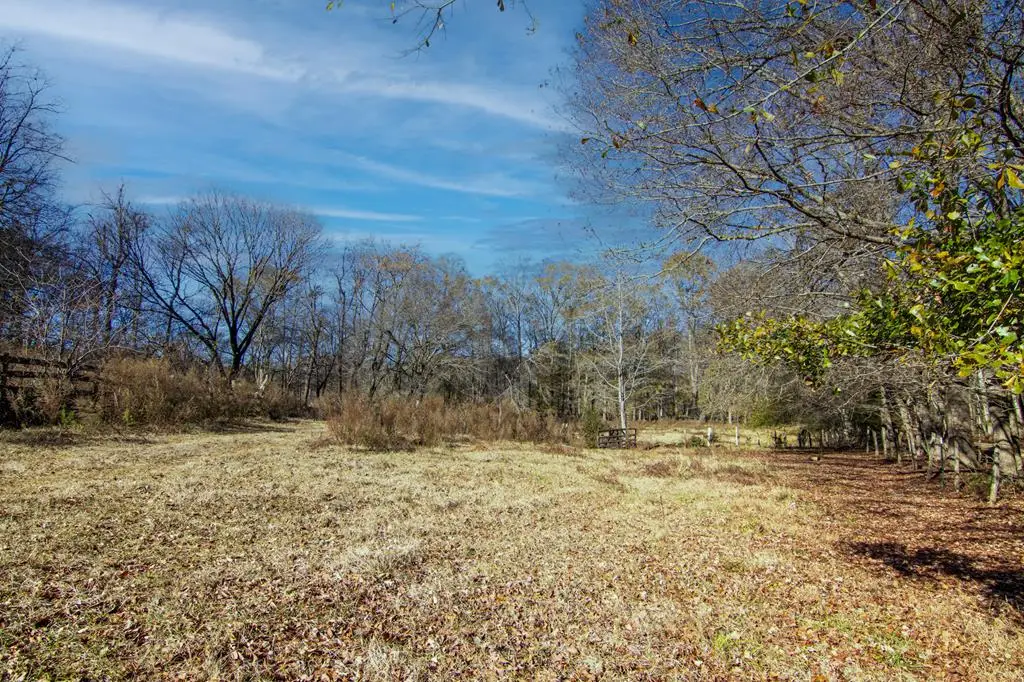 Tract 2 - 0 St. Paul Church Road, Shiloh, GA 31826 - #1