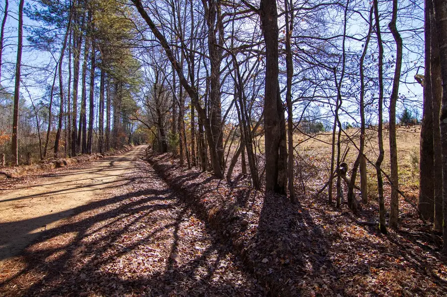 Tract 2 - 0 St. Paul Church Road, Shiloh, GA 31826 - #2