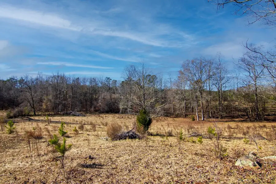 Tract 2 - 0 St. Paul Church Road, Shiloh, GA 31826 - #3