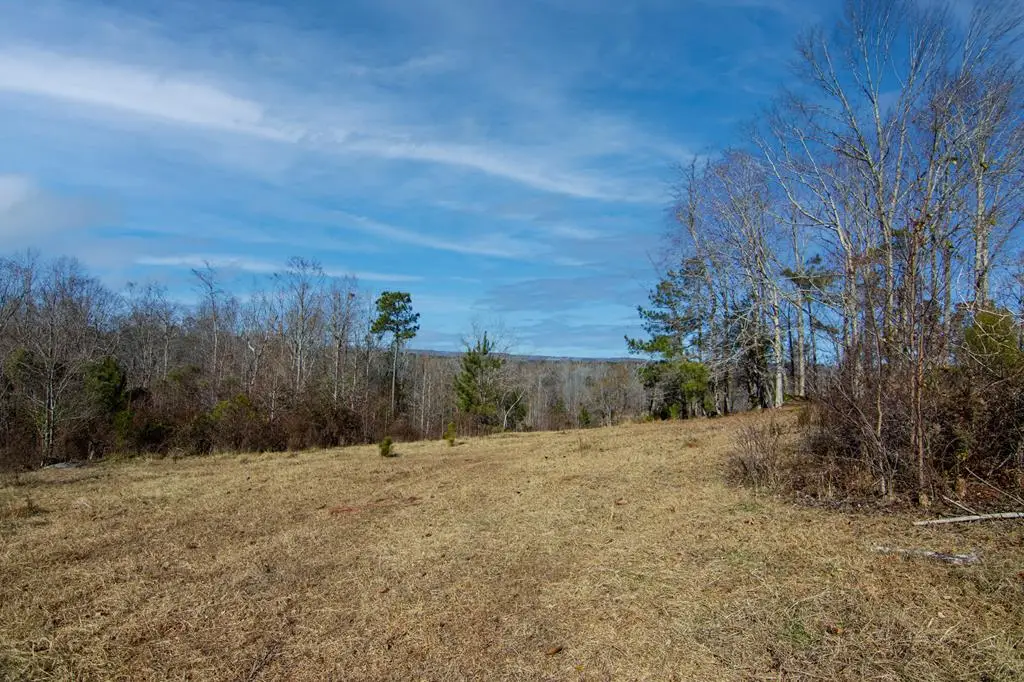 Tract 6 - 0 Chestnut Grove Road, Shiloh, GA 31826 - #1