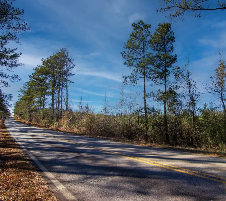 Tract 6 - 0 Chestnut Grove Road, Shiloh, GA 31826 - #2