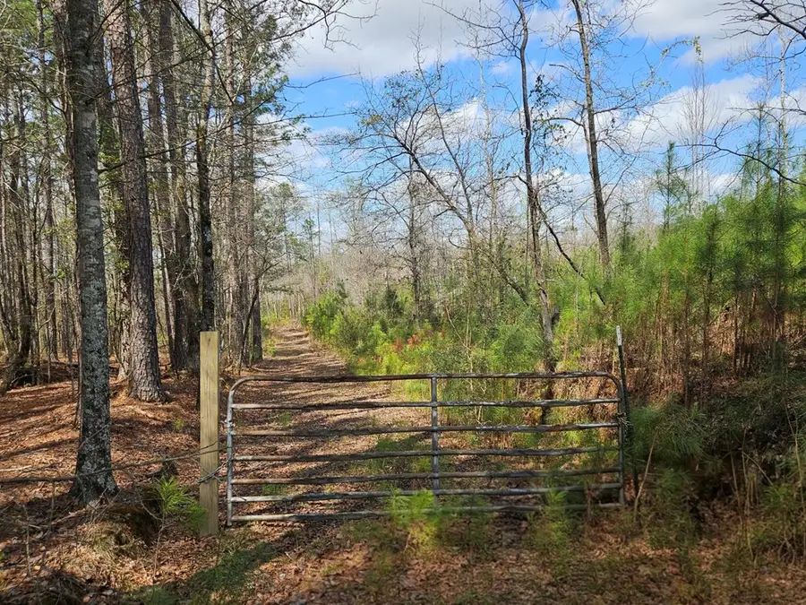 600 Mountain Brook Road, Fortson, GA 31808 - #2