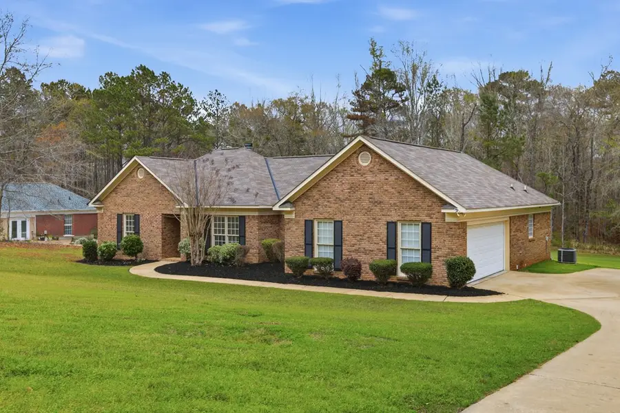 1159 Ossahatchie Creek Road, Ellerslie, GA 31807 - #3