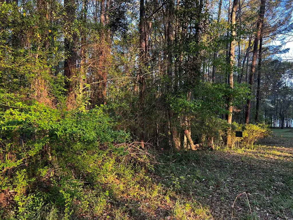 203 View Pointe, Lagrange, GA 30241 - #1