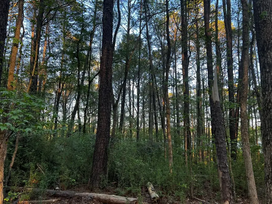 203 View Pointe, Lagrange, GA 30241 - #3