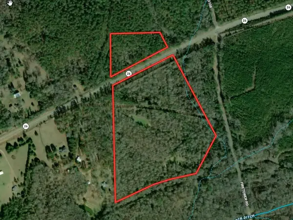 31 Ga Highway 0026, BUENA VISTA, GA 31803