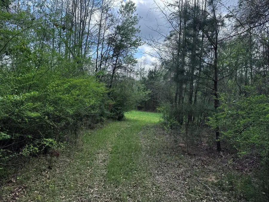 31 Ga Highway 0026, Buena Vista, GA 31803 - #3