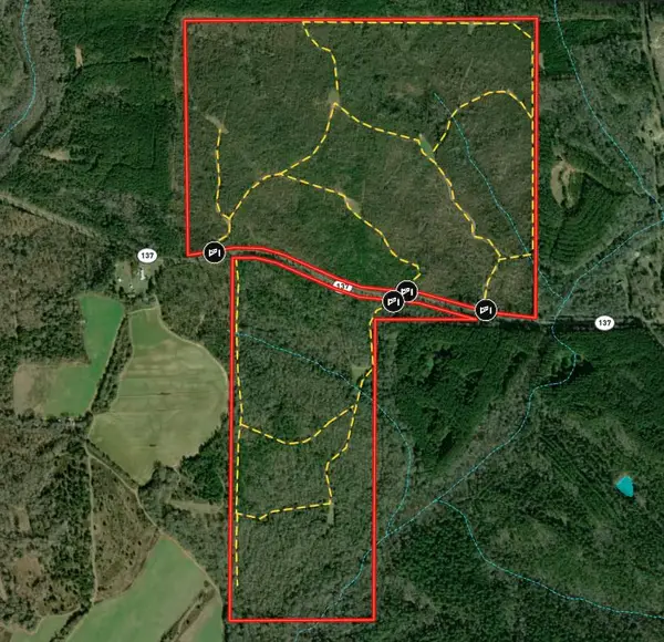 337+/- ac Ga Highway 0137, BUENA VISTA, GA 31803