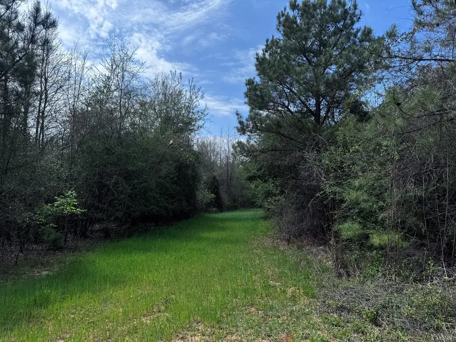 337+/- ac Ga Highway 0137, Buena Vista, GA 31803 - #2