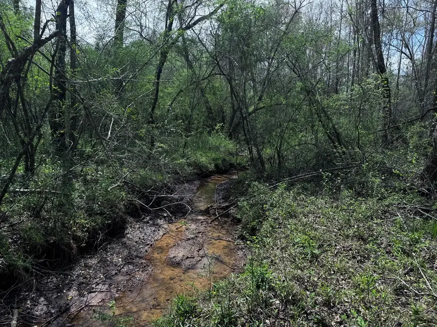 337+/- ac Ga Highway 0137, Buena Vista, GA 31803 - #3