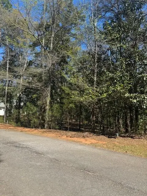 410 Highland Park Loop, Pine Mountain, GA 31822 - #2