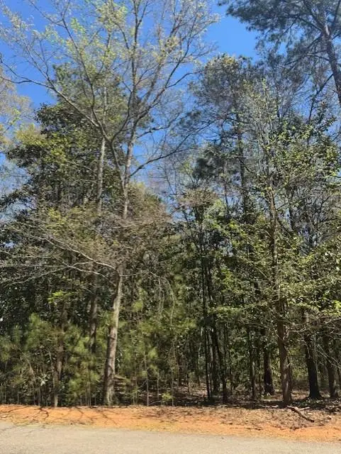 410 Highland Park Loop, Pine Mountain, GA 31822 - #3