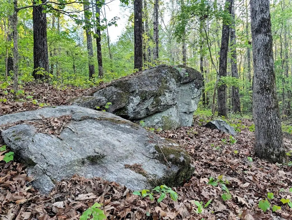 0 Ga Highway 0116, Hamilton, GA 31811 - #1