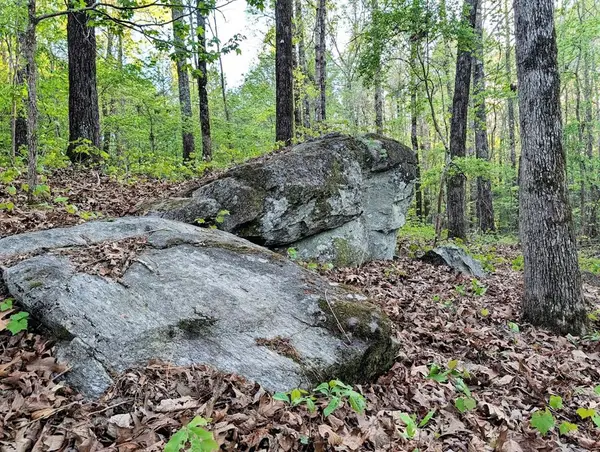 0 Ga Highway 0116, HAMILTON, GA 31811