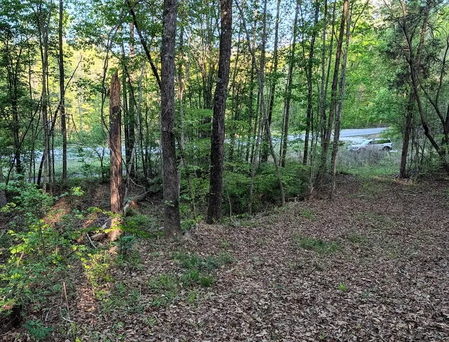 0 Ga Highway 0116, Hamilton, GA 31811 - #3