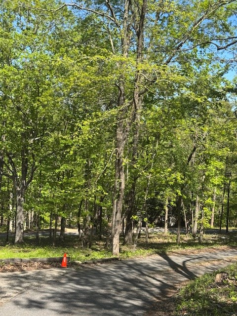 0 Royal Lodge Circle, Warm Springs, GA 31830 - #3