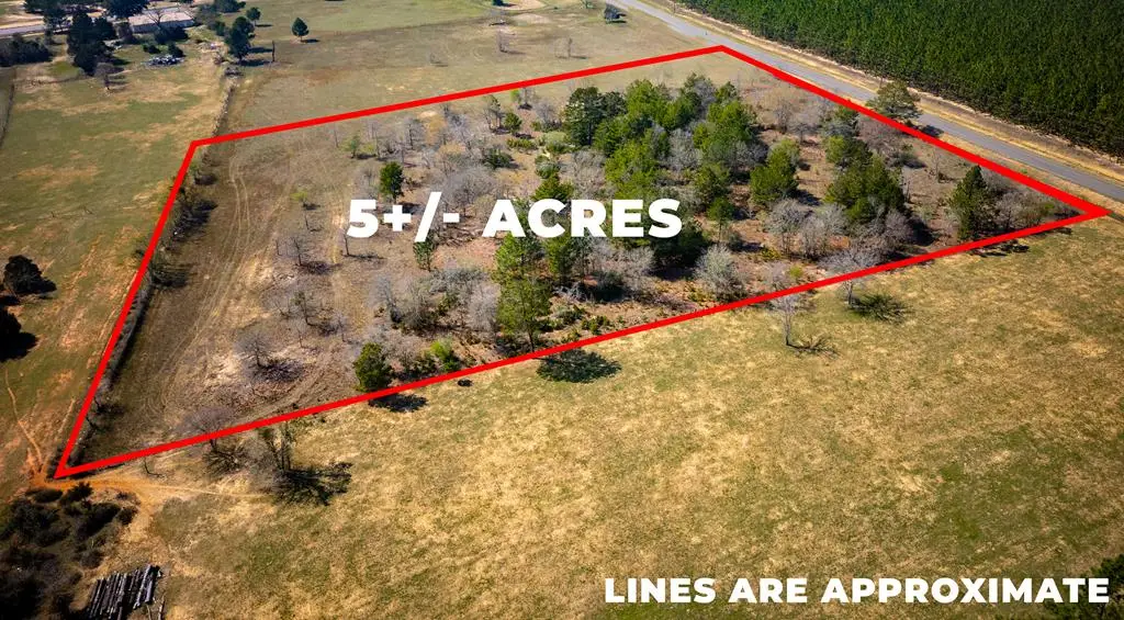 5 ac Kirkland Store Road, Box Springs, GA 31801 - #1