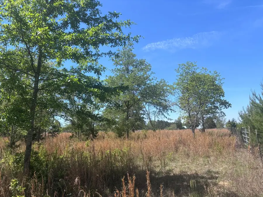 5 ac Kirkland Store Road, Box Springs, GA 31801 - #3