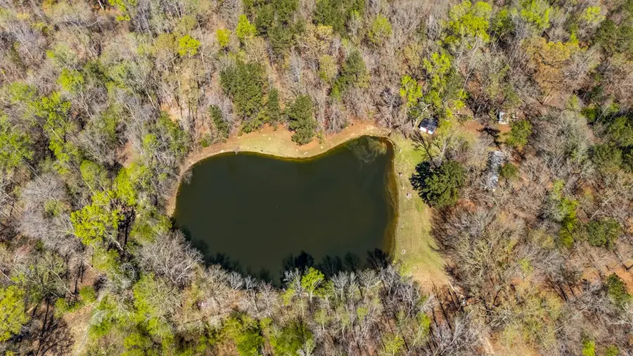 10477 Macon Road, Midland, GA 31820 - #2