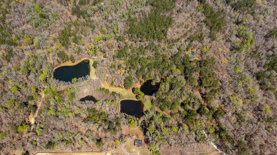 10477 Macon Road, Midland, GA 31820 - #3