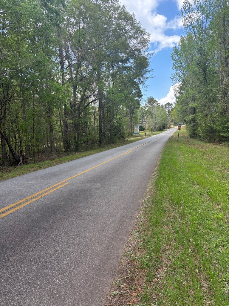 0 Valley Rescue Mission Road, Hamilton, GA 31811 - #2