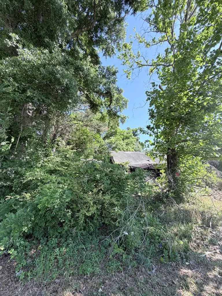 6644 Buena Vista Road, Columbus, GA 31907 - #1